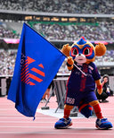 FC東京 フラッグ L