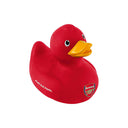 アーセナル バスタイム ダック