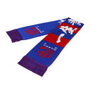 FC東京 ニットマフラー 東京 2025