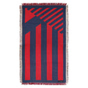 FC東京 キャンプラグ 2025