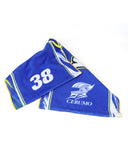 TGR チーム キーパー セルモ チーム スポーツタオル 2025