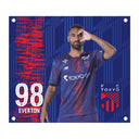 FC東京 BIGタペストリー '25