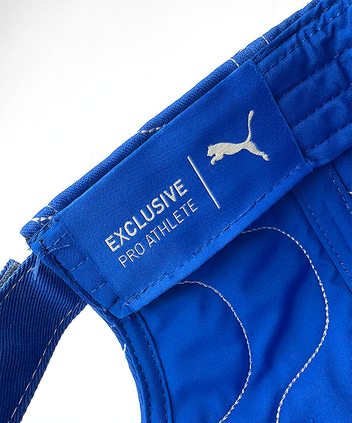 ★直筆サインあり★2025年ルイス・ハミルトン（フェラーリ）ドライバーズカード 2025 L．ハミルトン 本人支給品 直筆サイン入 ドライバーキャップ F1