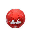 イングランド代表 サッカーボール 5号球 ファントム