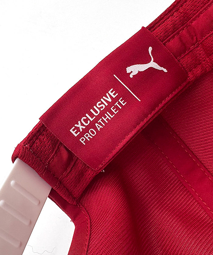 ハミルトン＆ルクレール直筆サイン入り スクーデリア フェラーリ HP