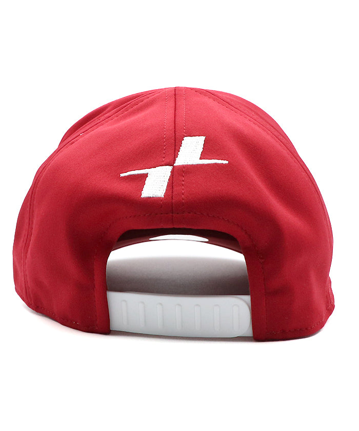 ★直筆サインあり★2025年シャルル・ルクレール（フェラーリ）ドライバーズカード ☆直筆サインあり☆2025年シャルル・ルクレール（フェラーリ