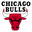 Chicago Bulls