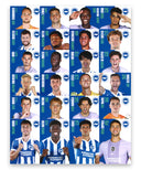 ブライトン プレーヤーカード 25/26 24枚セット