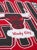 シカゴ・ブルズ RETRO CITY TEE