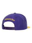 ロサンゼルス・レイカーズ TEAM 2 TONE 2.0 SNAPBACK