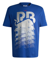 VISA CASH APP RB F1 チーム ライフスタイル コマーシャル ダイナミックロゴ Tシャツ 2024 ブル…